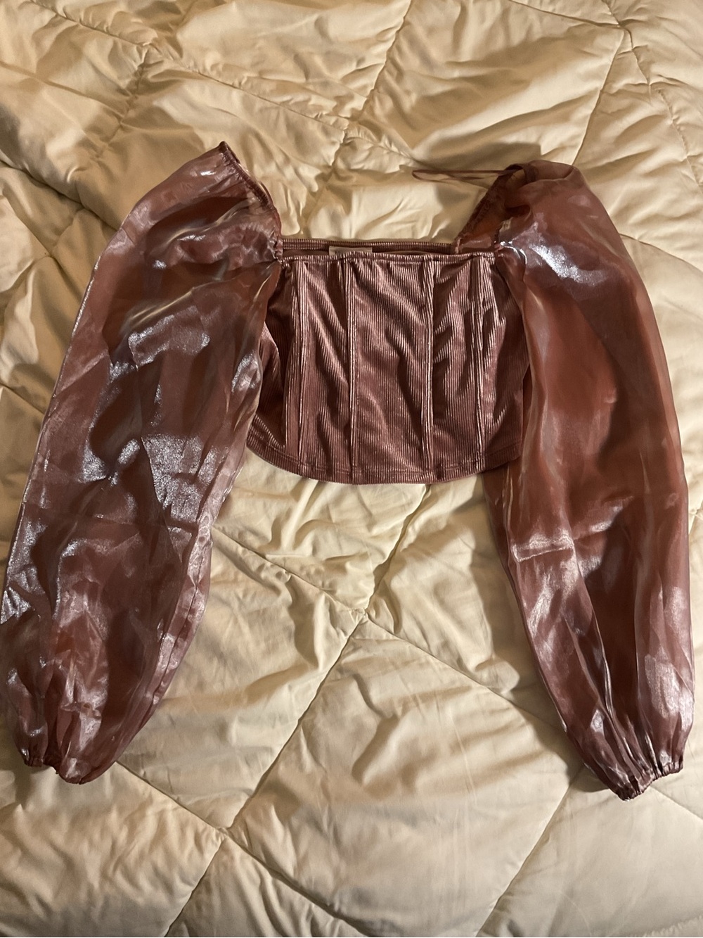 Blu Pepper Dusty Rose Velvet Corset Crop Top with Sheer Accent Sleeves